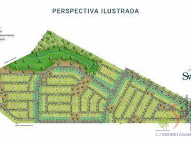 #241 - Terreno para Venda em Manaus - AM - 3