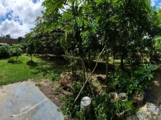 #244 - Terreno em condomínio para Venda em Manaus - AM - 3