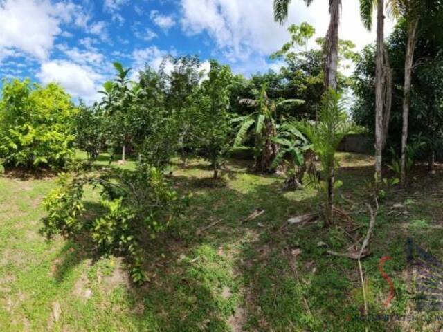 #244 - Terreno em condomínio para Venda em Manaus - AM - 2
