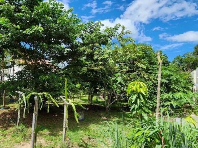 Terreno em condomínio para Venda em Manaus - 4