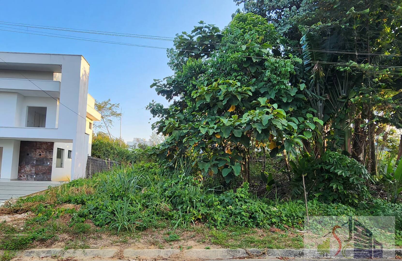 Terreno, 250 m² - Foto 2